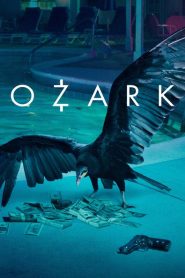 Ozark (Türkçe Dublaj)