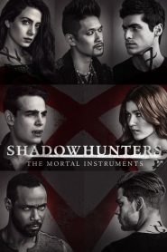 Shadowhunters