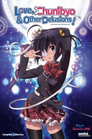 Chuunibyou demo Koi ga Shitai! (Anime)