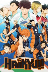 Haikyu!! (Anime)