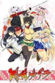 Senran Kagura (Anime)