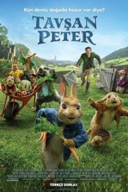 Tavşan Peter (2018) Türkçe Dublaj izle