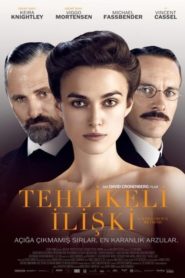 Tehlikeli İlişki (2011) Türkçe Dublaj izle