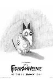 Frankenweenie (2012) Türkçe Dublaj izle