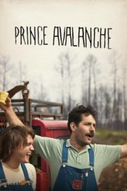 Yolların Prensi (2013) Türkçe Dublaj izle