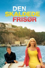 Sadece Aşk (2012) Türkçe Dublaj izle