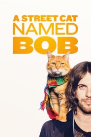 Sokak Kedisi Bob (2016) Türkçe Dublaj izle