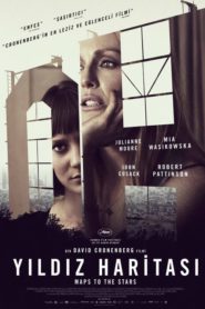 Yıldız Haritası (2014) Türkçe Dublaj izle