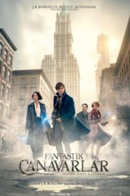 Fantastik Canavarlar Nelerdir, Nerede Bulunurlar? (2016) Türkçe Dublaj izle