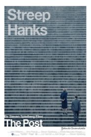 The Post (2017) Türkçe Dublaj izle