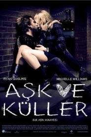 Aşk ve Küller (2010) Türkçe Dublaj izle