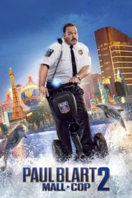 Paul Blart: AVM Polisi 2 (2015) Türkçe Dublaj izle