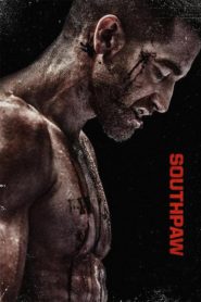 Son Şans (2015) Türkçe Dublaj izle