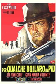 Bir Kaç Dolar İçin (1965) izle