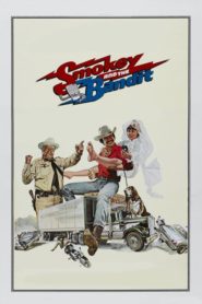 Çılgın (1977) Türkçe Dublaj izle