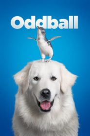 Cesur Köpek (2015) Türkçe Dublaj izle