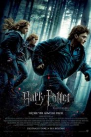 Harry Potter ve Ölüm Yadigarları: Bölüm 1 (2010) izle