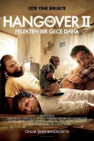 Felekten Bir Gece 2 (2011) izle