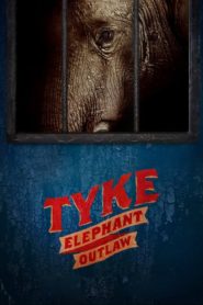 Fil Tyke’ın Hikâyesi (2015) Türkçe Dublaj izle