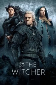 The Witcher (Türkçe Dublaj)