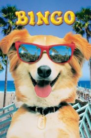 Kahraman Köpek Bingo (1991) Türkçe Dublaj izle