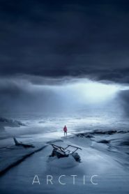 Arctic (2018) Türkçe Dublaj izle