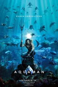 Aquaman (2018) izle