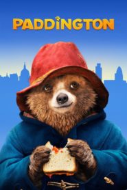 Ayı Paddington (2014) izle