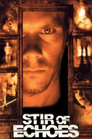 Dehşetin Yankıları (1999) Türkçe Dublaj izle