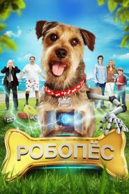 Robot Köpek (2015) Türkçe Dublaj izle