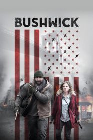 İşgal (2017) Türkçe Dublaj izle