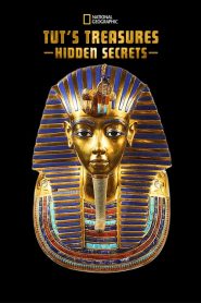 Tut’s Treasures: Hidden Secrets