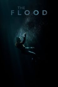 Mülteci (2019) Türkçe Dublaj izle