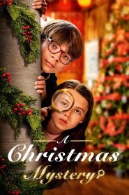 Bir Noel Gizemi (2022) Türkçe Dublaj izle