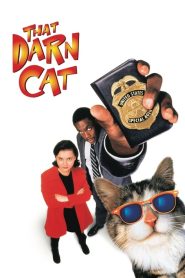 O İllet Kedi (1997) izle