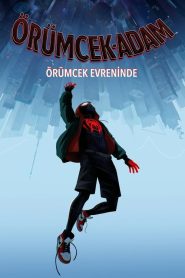 Örümcek Adam: Örümcek Evreninde (2018) Türkçe Dublaj izle