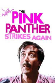 Pembe Panter Coşuyor (1976) izle