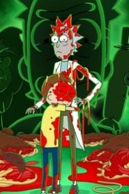 Rick and Morty (Türkçe Dublaj)