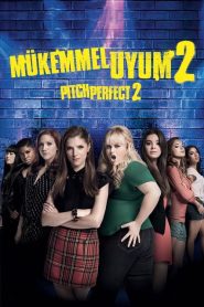 Mükemmel Uyum 2 (2015) Türkçe Dublaj izle