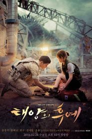 Descendants of the Sun (Asya Dizi)