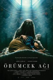 Örümcek Ağı (2023) Türkçe Dublaj izle