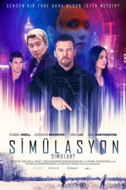 Simülasyon (2023) Türkçe Dublaj izle