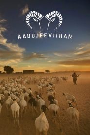 Aadujeevitham: Keçilerle Yaşam (2024) izle