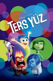 Ters Yüz (2015) Türkçe Dublaj izle