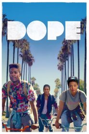 Dope (2015) Türkçe Dublaj izle