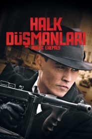 Halk Düşmanları (2009) Türkçe Dublaj izle