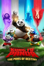 Kung Fu Panda: The Paws of Destiny (Türkçe Dublaj)