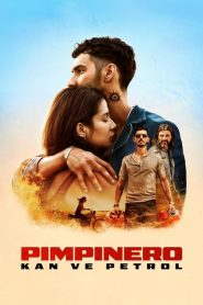 Pimpinero: Kan ve Petrol (2024) Türkçe Dublaj izle