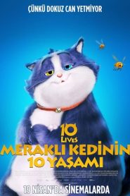 Meraklı Kedinin 10 Yaşamı (2024) Türkçe Dublaj izle