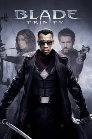 Blade 3: Trinity (2004) izle